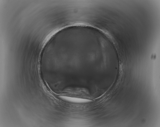 X0000115321279200911161736