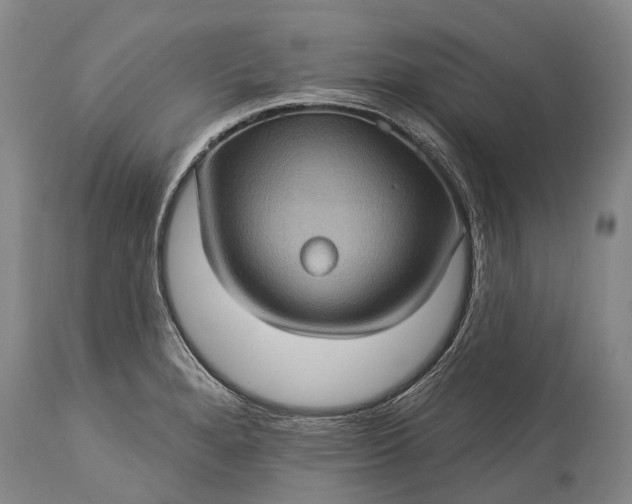 X0000115321280200911161736