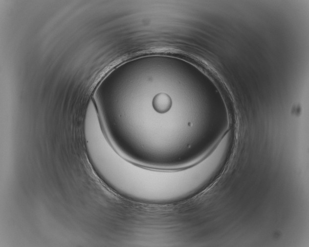 X0000115321281200911161736