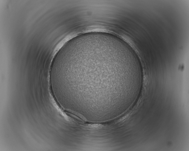 X0000115321282200911161736