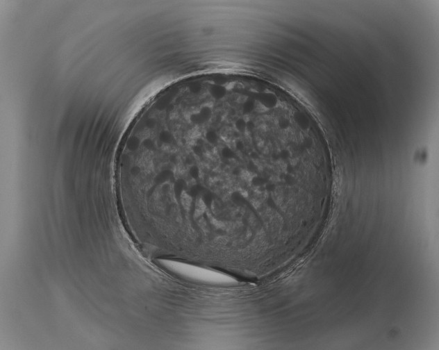 X0000115321283200911161736