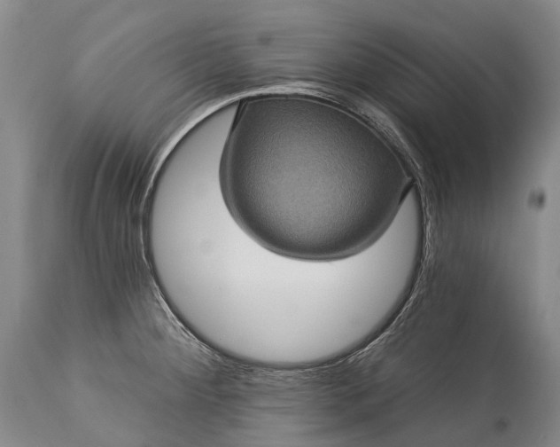 X0000115321284200911161736