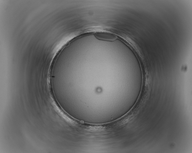 X0000115321285200911161736