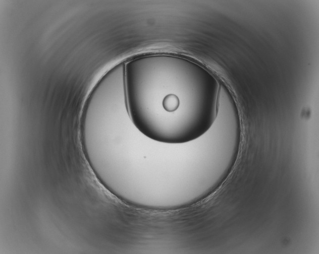 X0000115321288200911161736