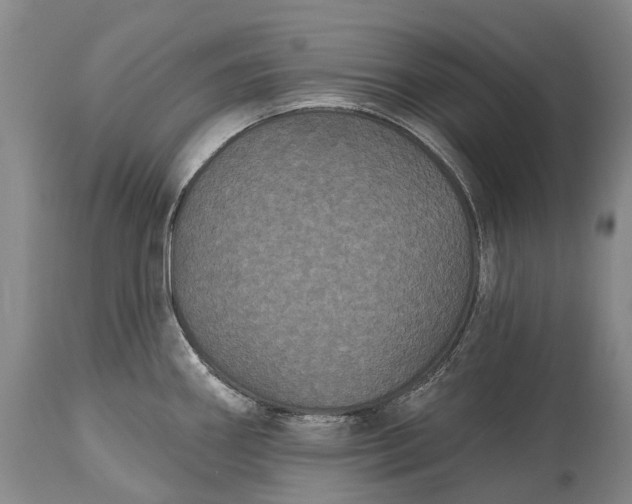 X0000115321290200911161736