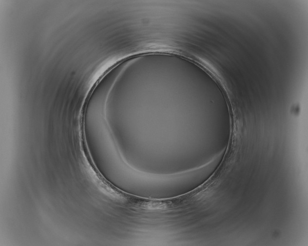 X0000115321291200911161736