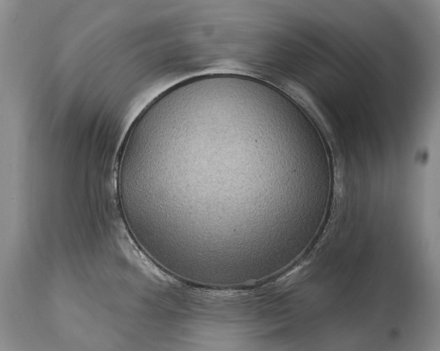 X0000115321292200911161736