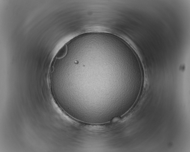 X0000115321293200911161736