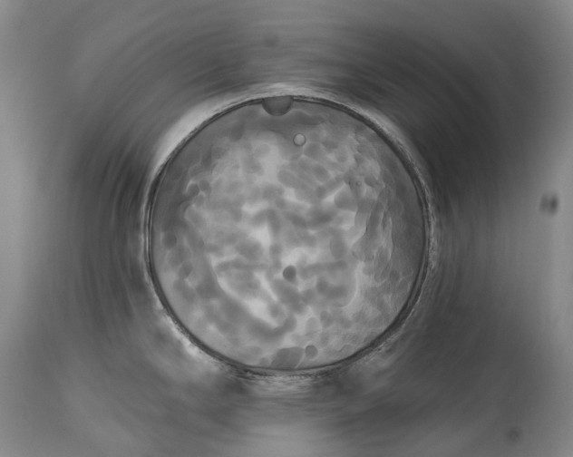 X0000115321294200911161736