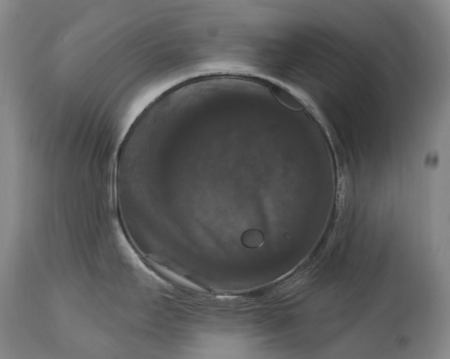 X0000115321295200911161736