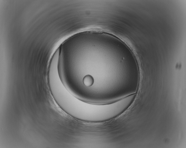 X0000115321296200911161736