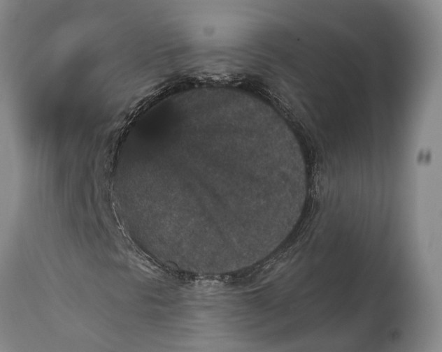 X0000115321297200911161736