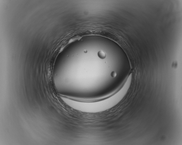 X0000115321298200911161736