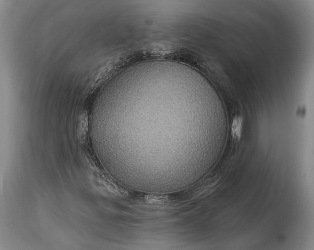 X0000115321299200911161736