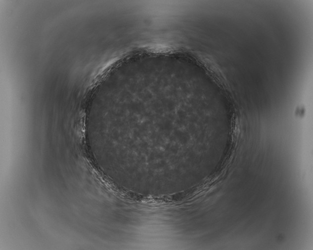 X0000115321301200911161736