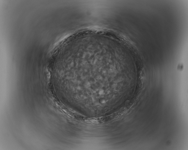 X0000115321302200911161736