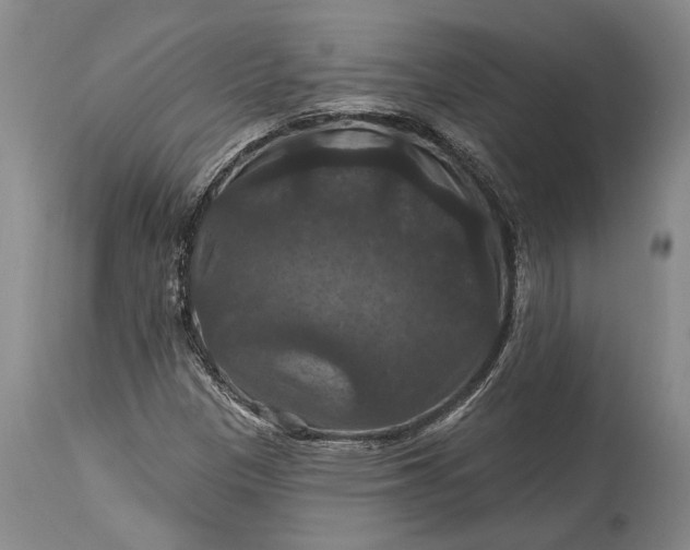 X0000115321305200911161736