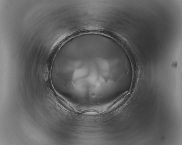 X0000115321306200911161736