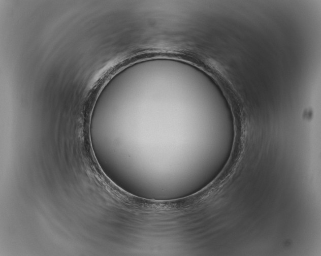 X0000115321307200911161736