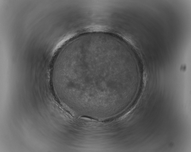 X0000115321309200911161736