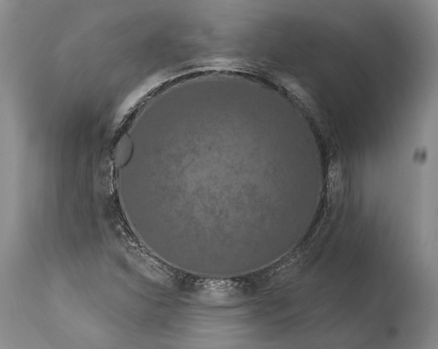 X0000115321310200911161736