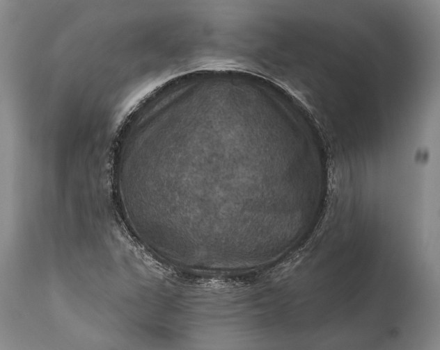 X0000115321311200911161736