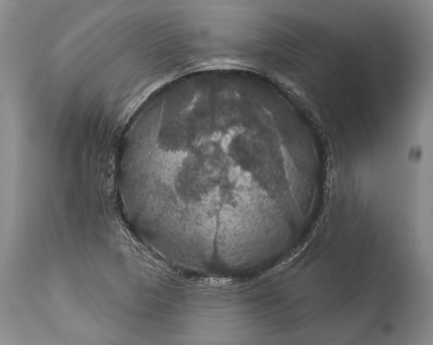 X0000115321313200911161736