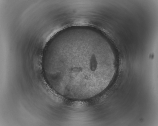 X0000115321314200911161736