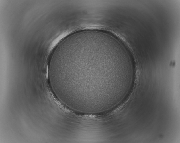 X0000115321317200911161736