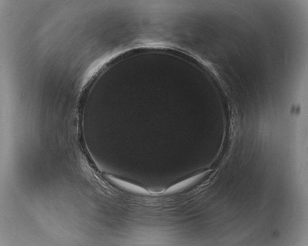 X0000115321319200911161736