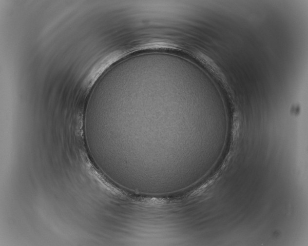 X0000115321321200911161736