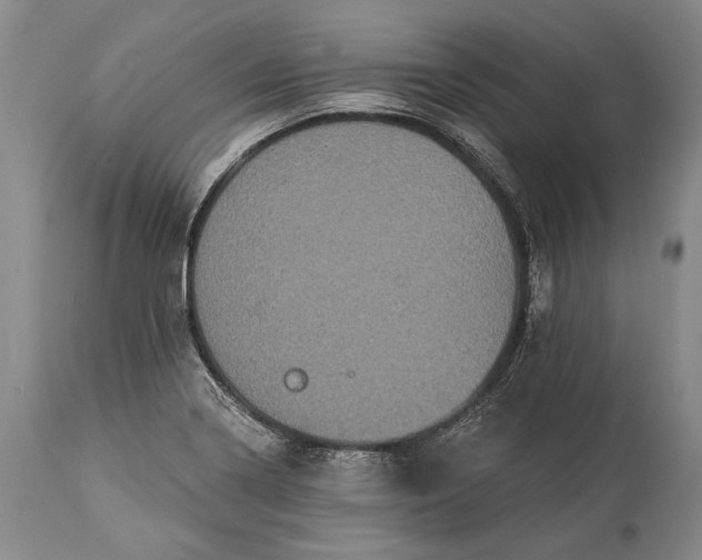 X0000115321322200911161736