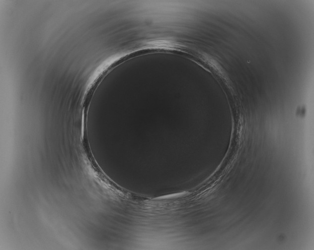 X0000115321323200911161736