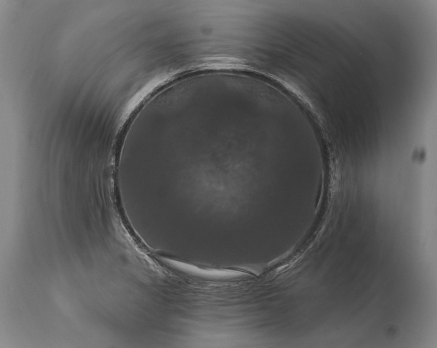 X0000115321325200911161736