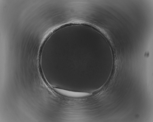 X0000115321327200911161736