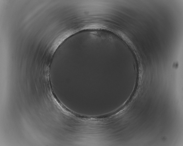 X0000115321329200911161736