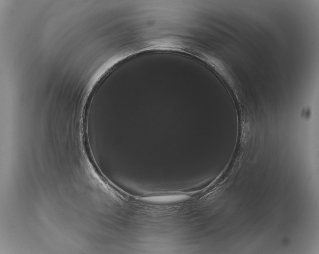 X0000115321331200911161736