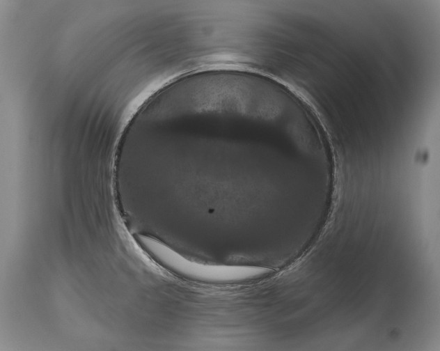 X0000115321333200911161736