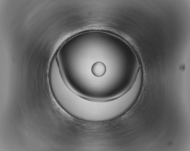 X0000115321334200911161736