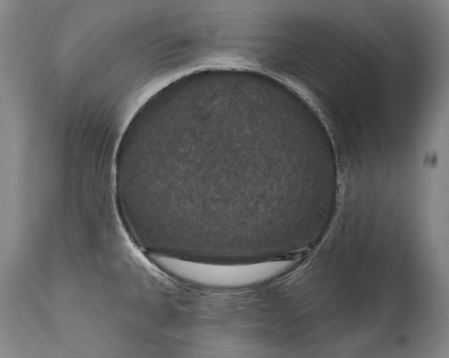 X0000115321335200911161736