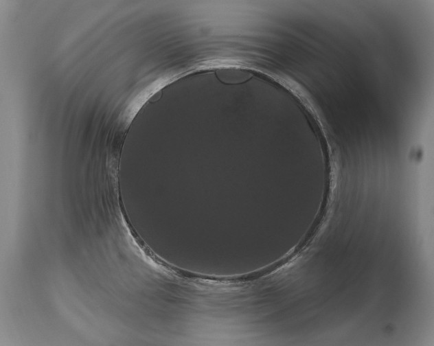 X0000115321337200911161736