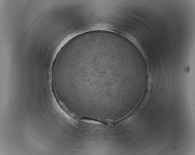 X0000115321339200911161736