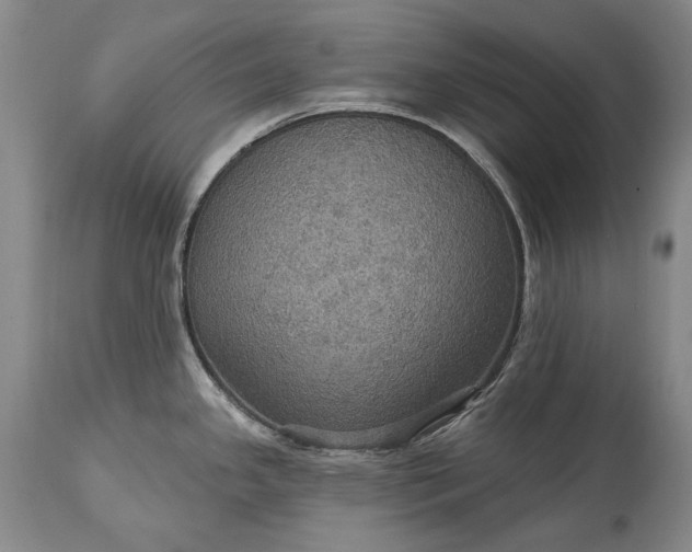 X0000115321341200911161736