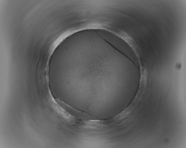 X0000115321342200911161736