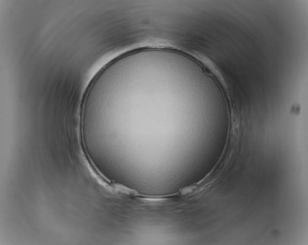 X0000115321343200911161736