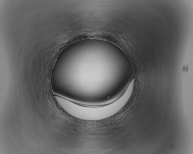 X0000115321345200911161736