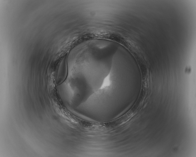 X0000115321346200911161736