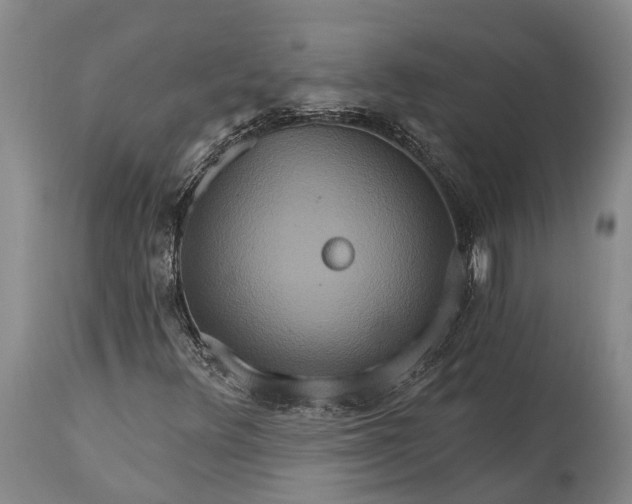 X0000115321348200911161735