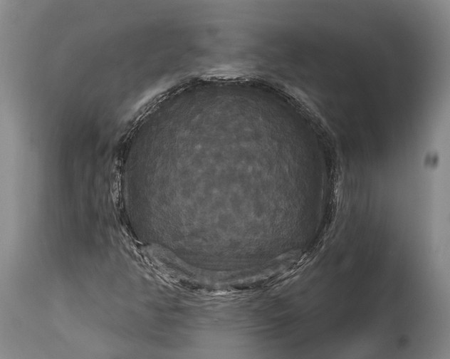 X0000115321350200911161735