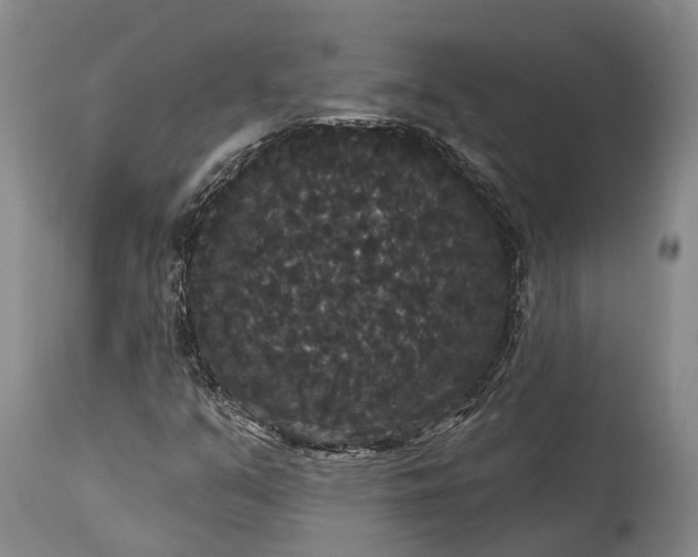 X0000115321351200911161735